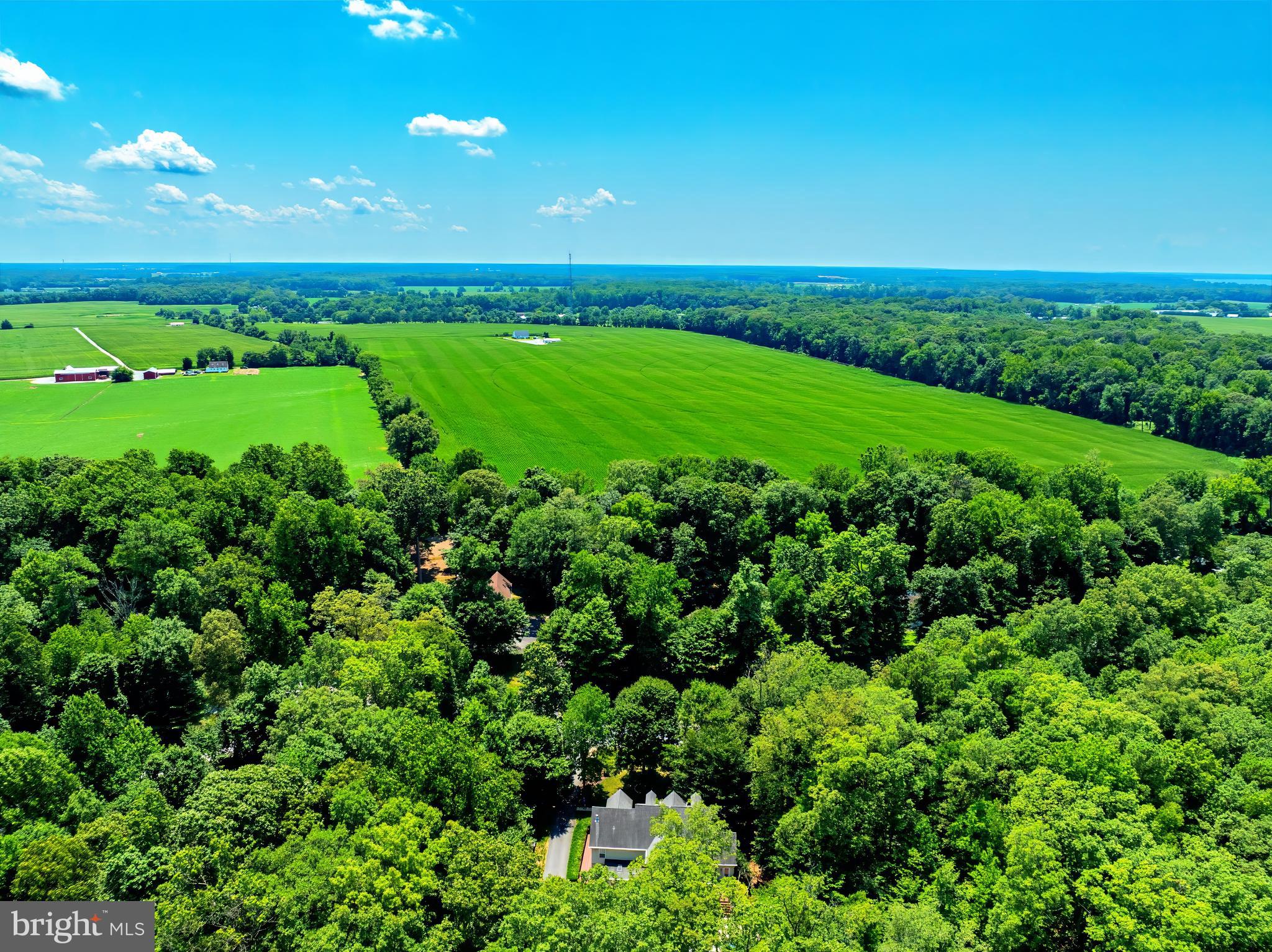 MCKENNEY FOREST - Residential