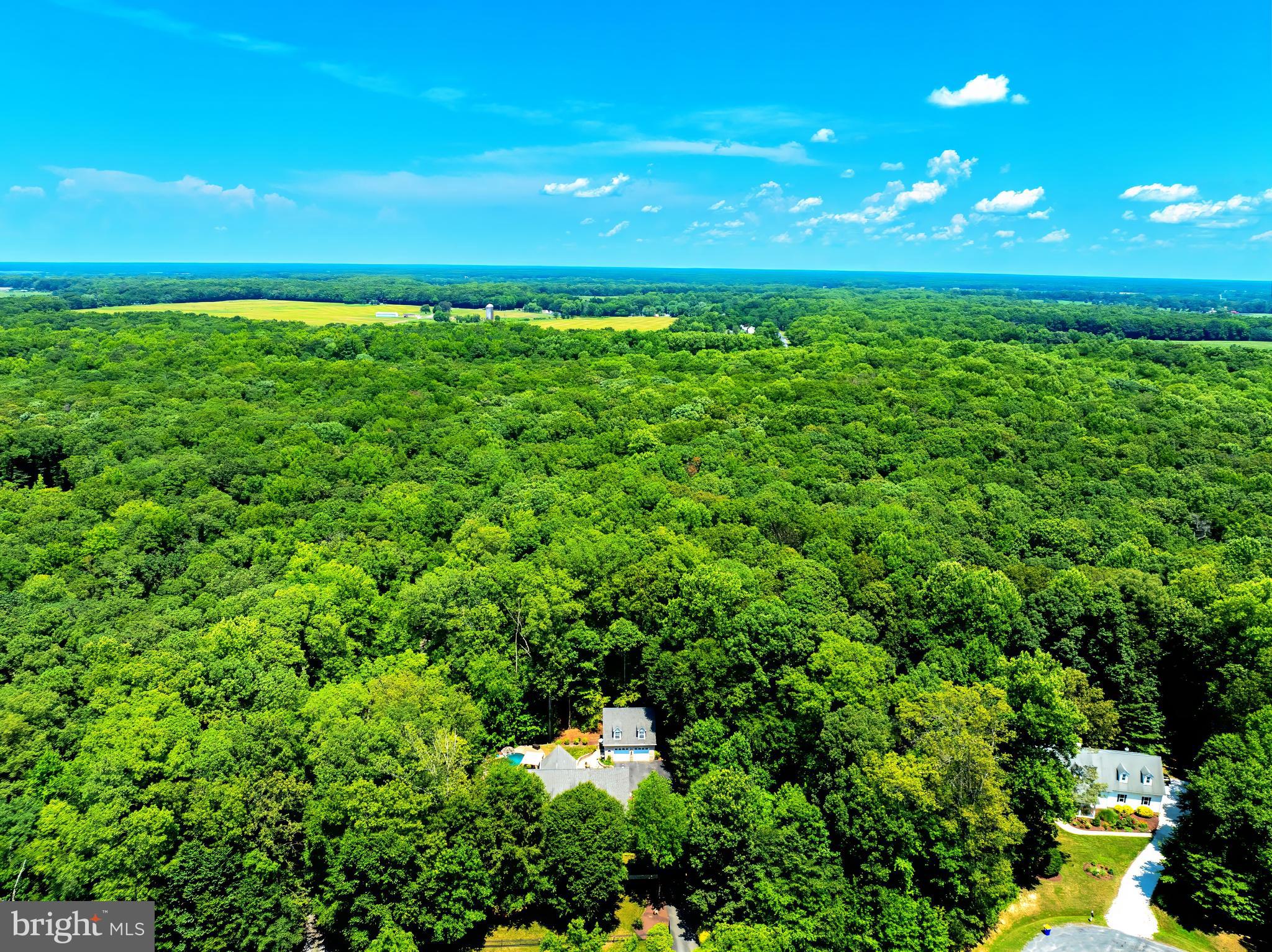 MCKENNEY FOREST - Residential