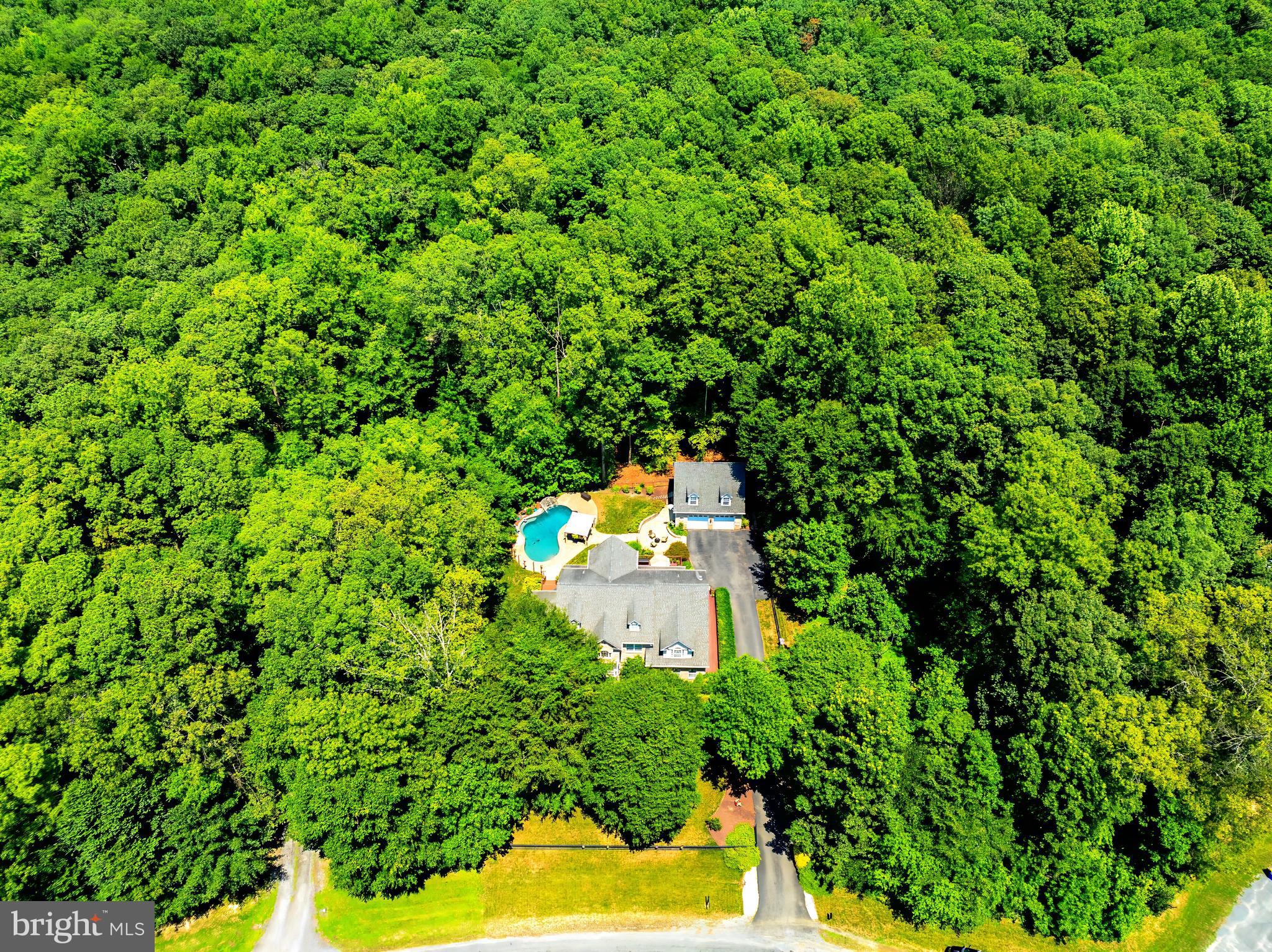 MCKENNEY FOREST - Residential