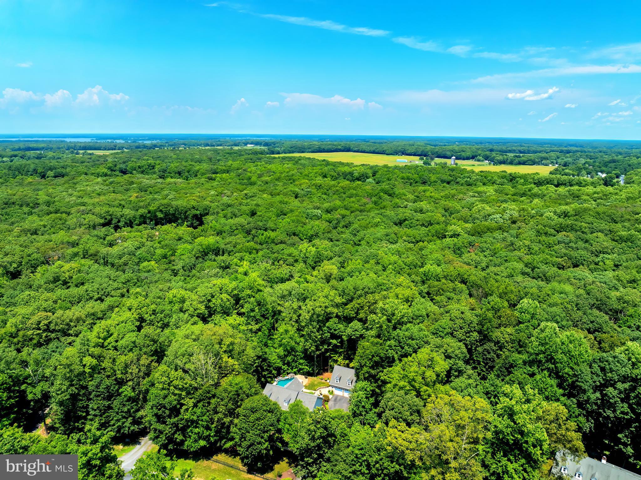 MCKENNEY FOREST - Residential