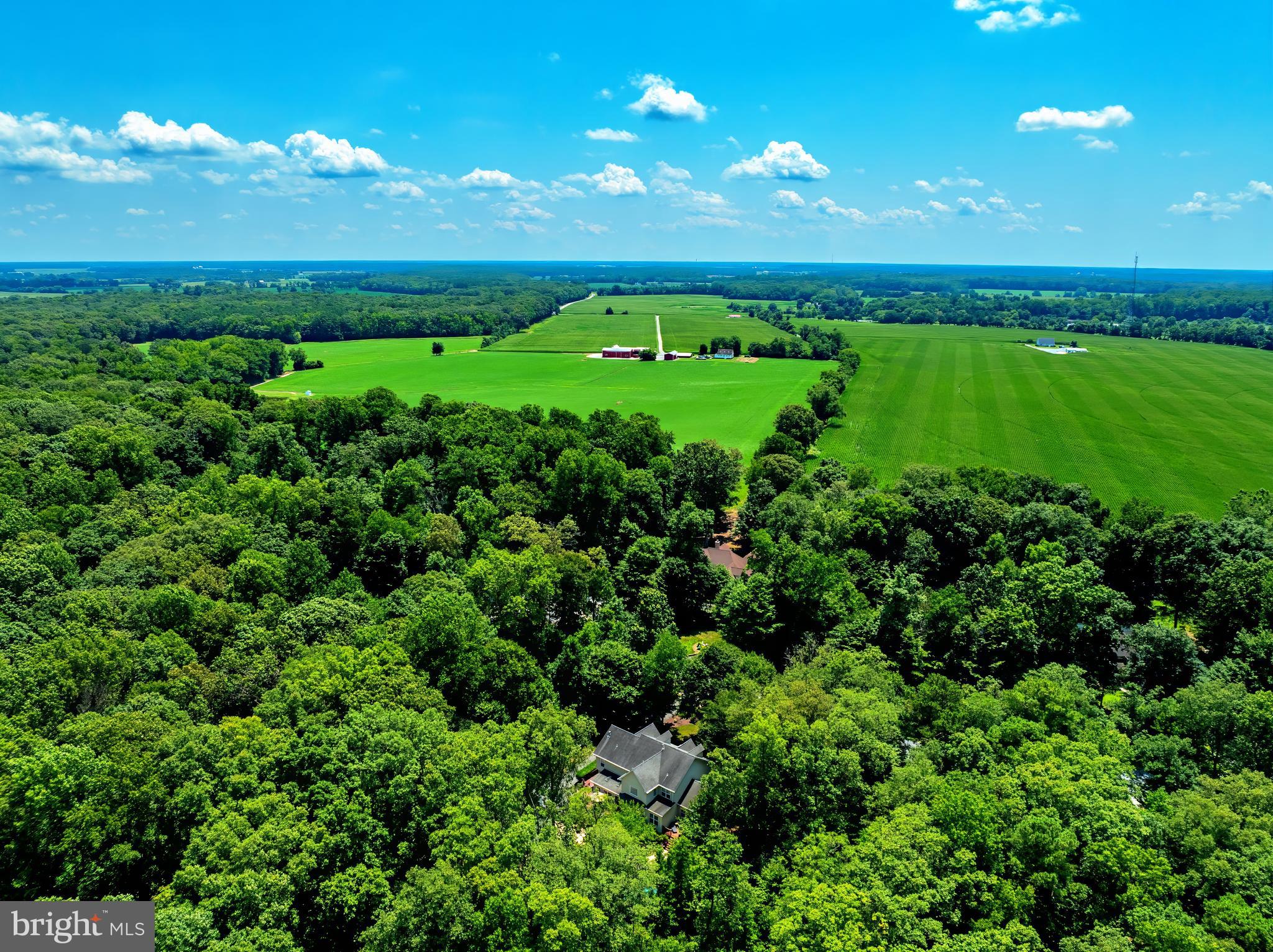 MCKENNEY FOREST - Residential