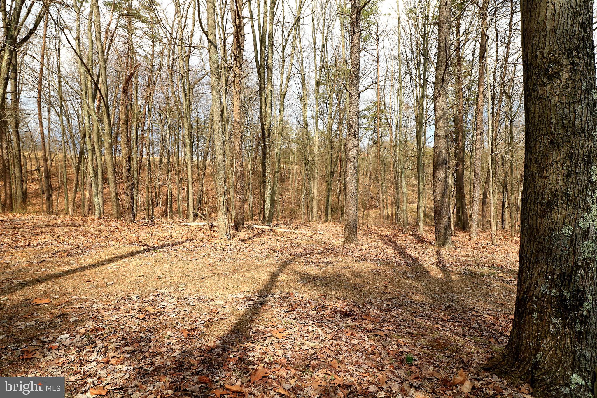 LAKELAND PINES - Residential