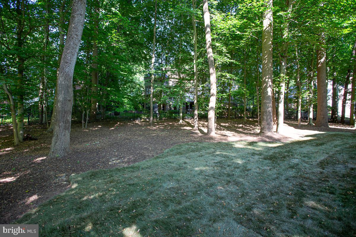 AVENEL - Residential