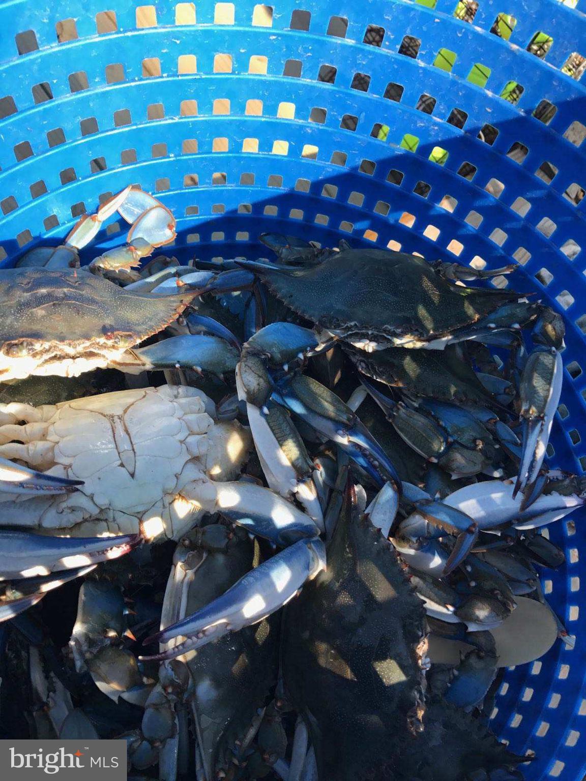 ABERDEEN HILLS - Residential