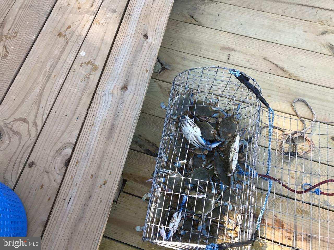 ABERDEEN HILLS - Residential