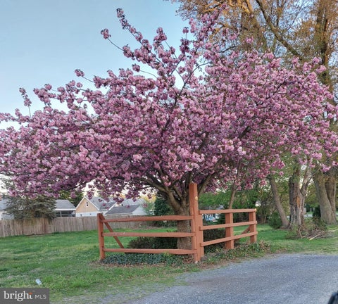 Vacant Land For Sale - E Boston Road<br/> Salem County, PENNSVILLE, NJ 08070