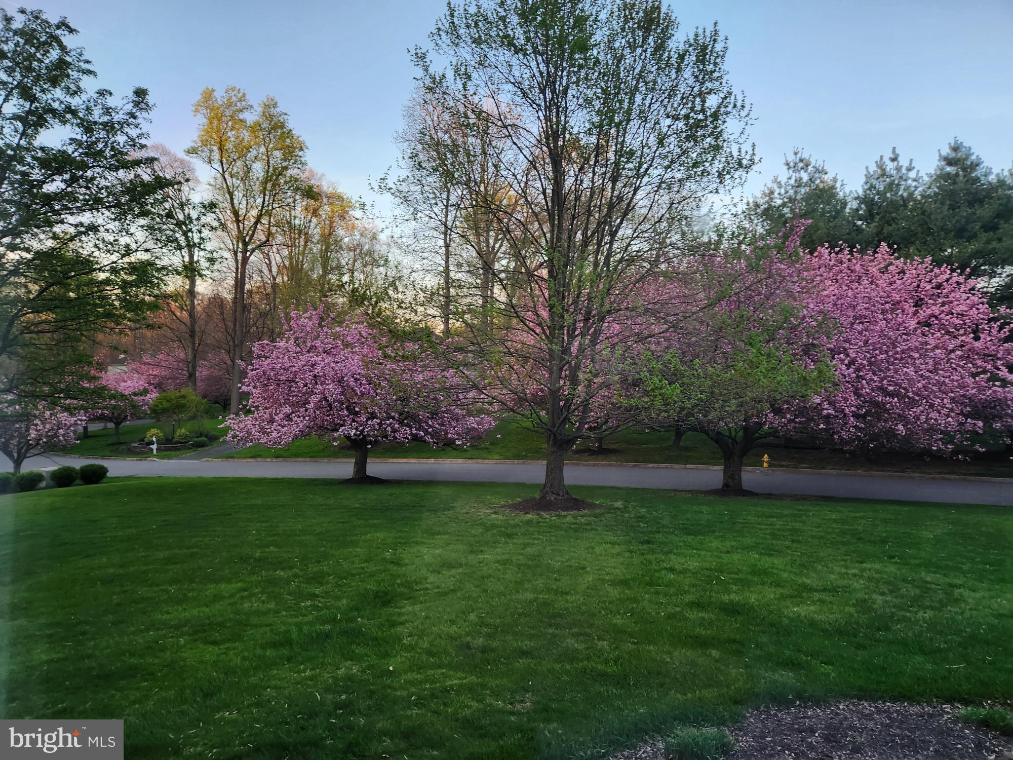 BROOKSIDE - Residential