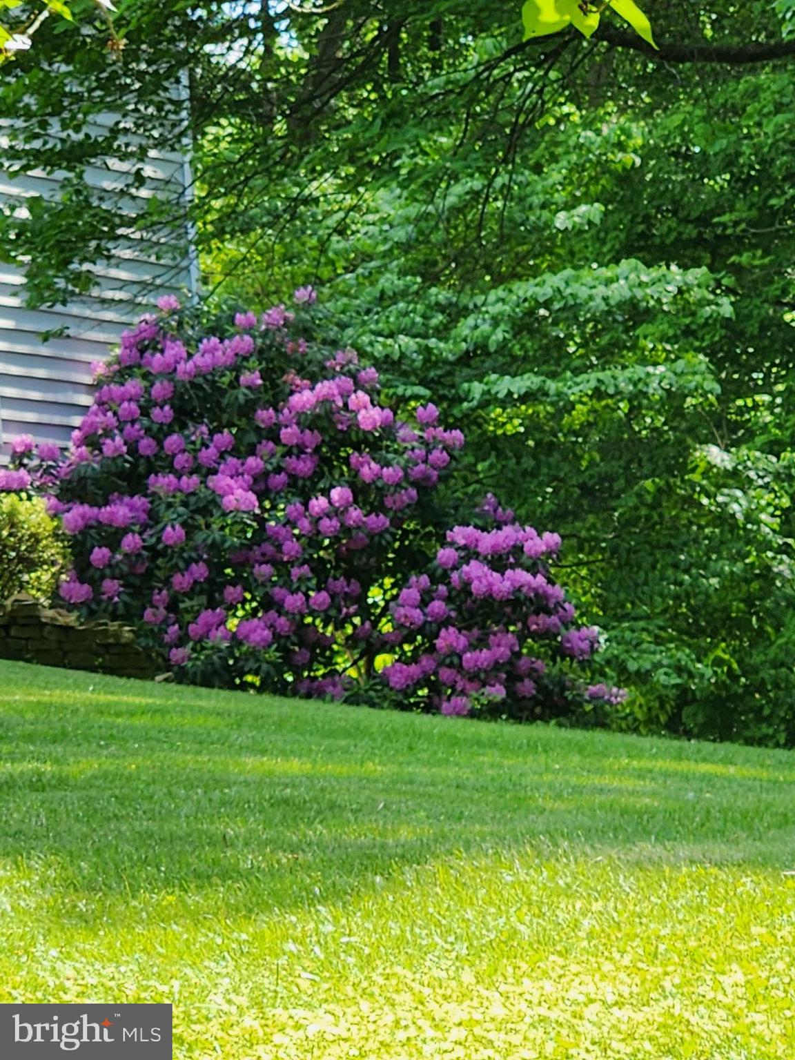 BROOKSIDE - Residential