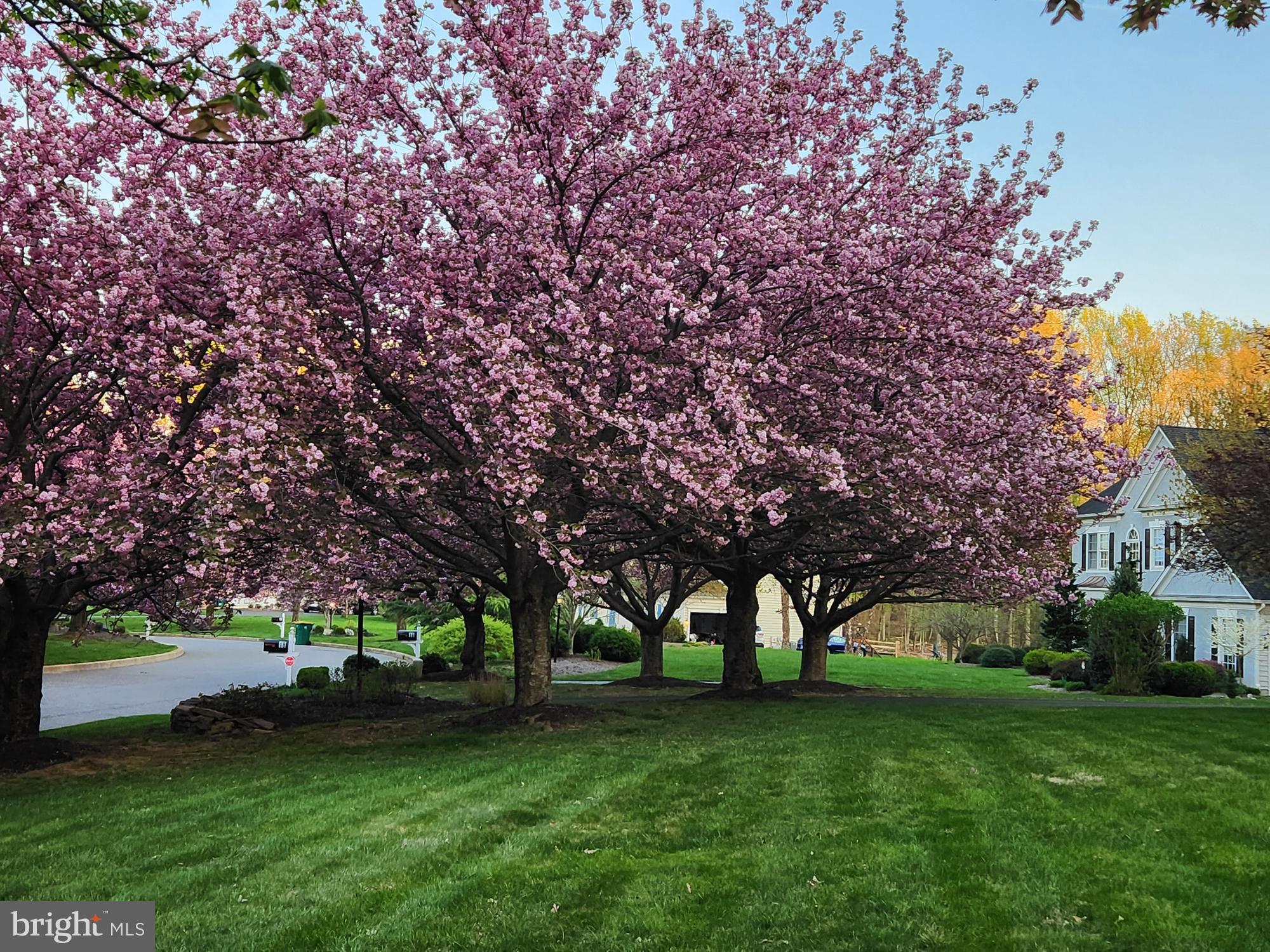 BROOKSIDE - Residential