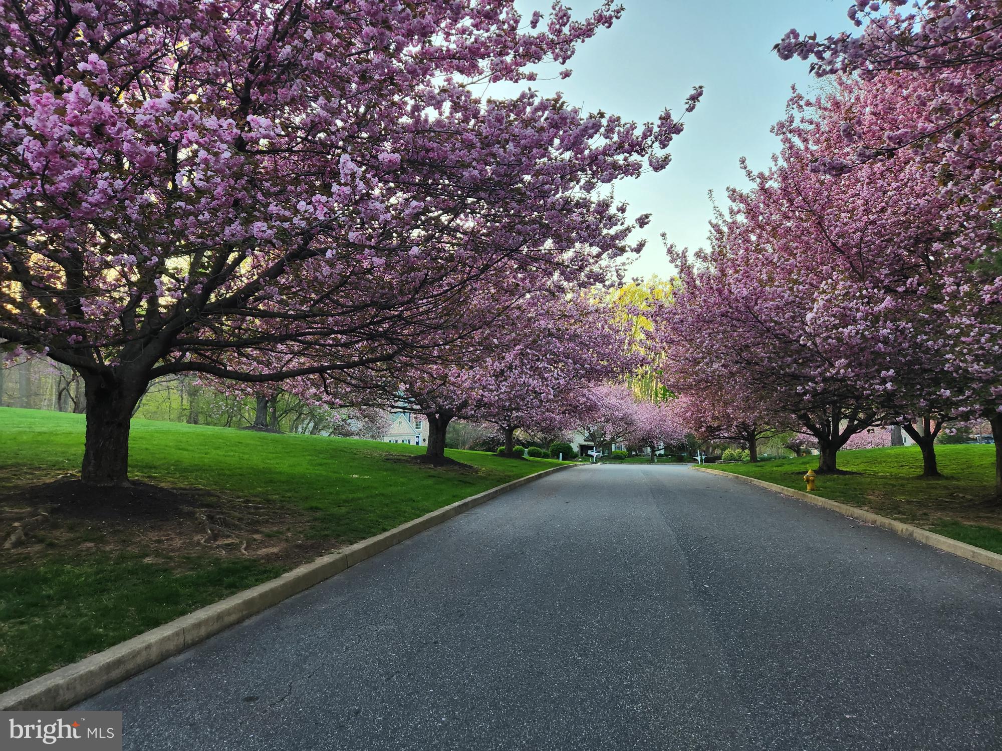 BROOKSIDE - Residential