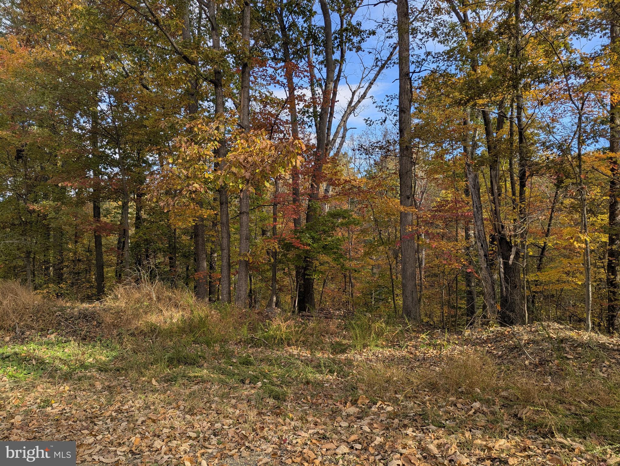 SHENANDOAH FARMS - Residential