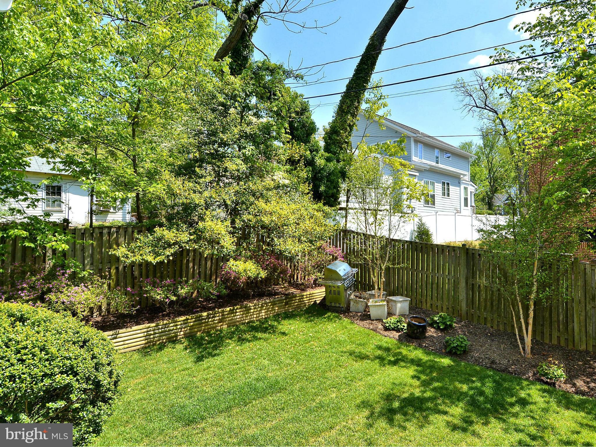 MOUNT IDA - Residential Lease