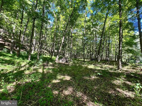 Vacant Land For Sale - LOT 4 SECTION 7 High Knob Road<br/> OLD FIELDS, WV 26845