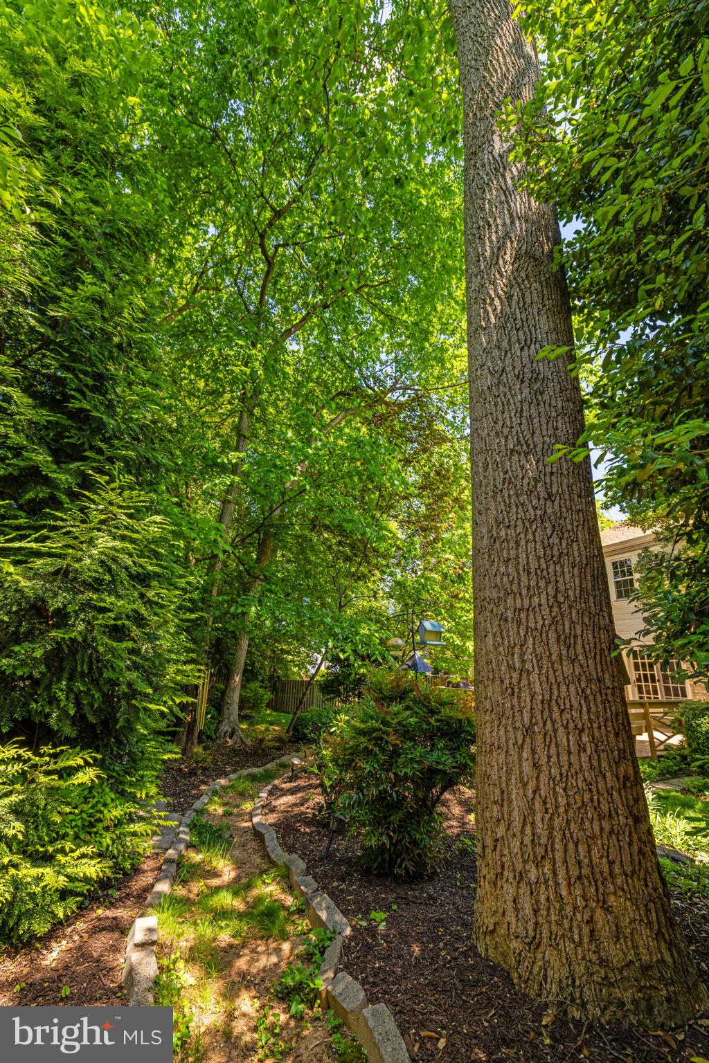 VIENNA OAKS - Residential
