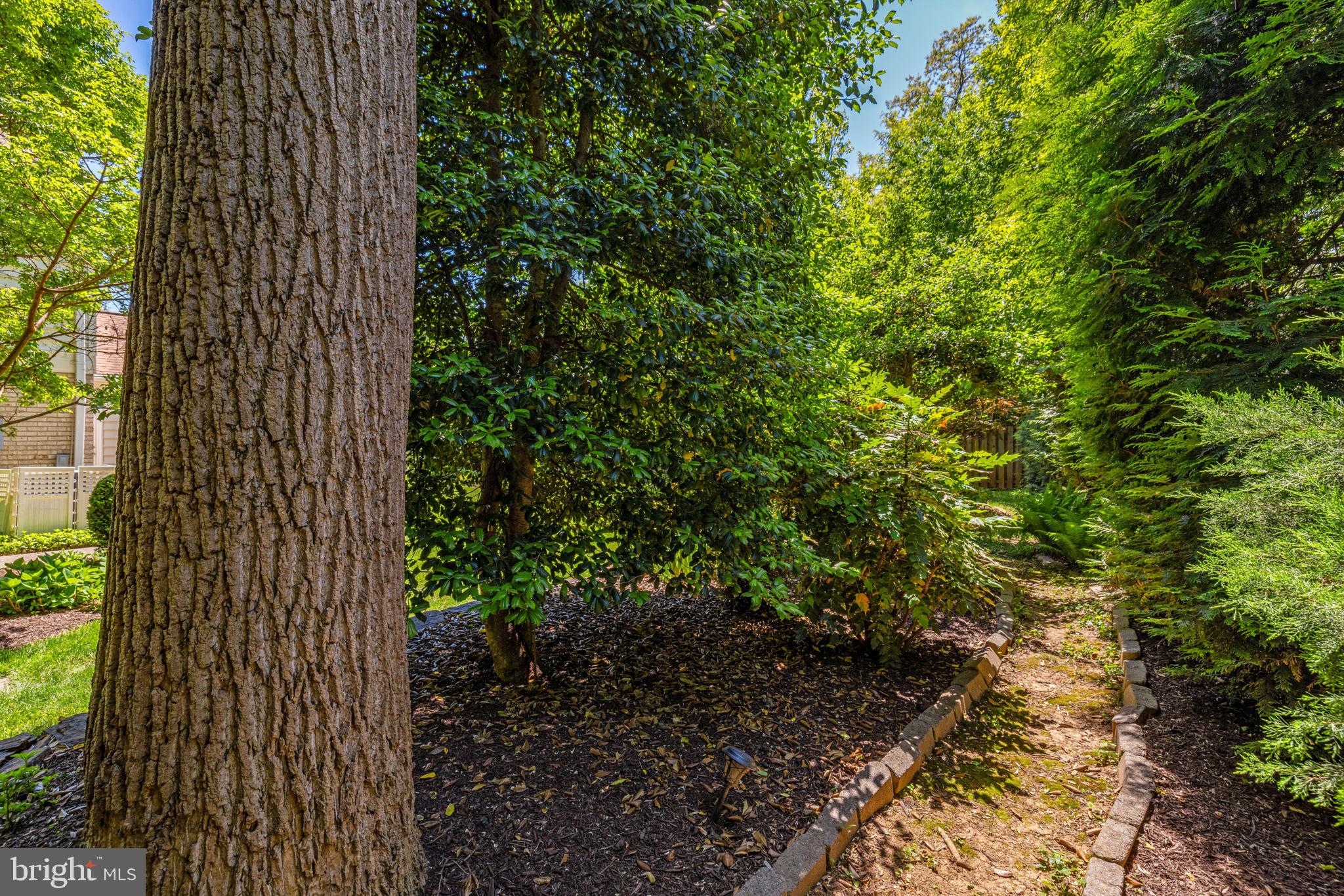 VIENNA OAKS - Residential