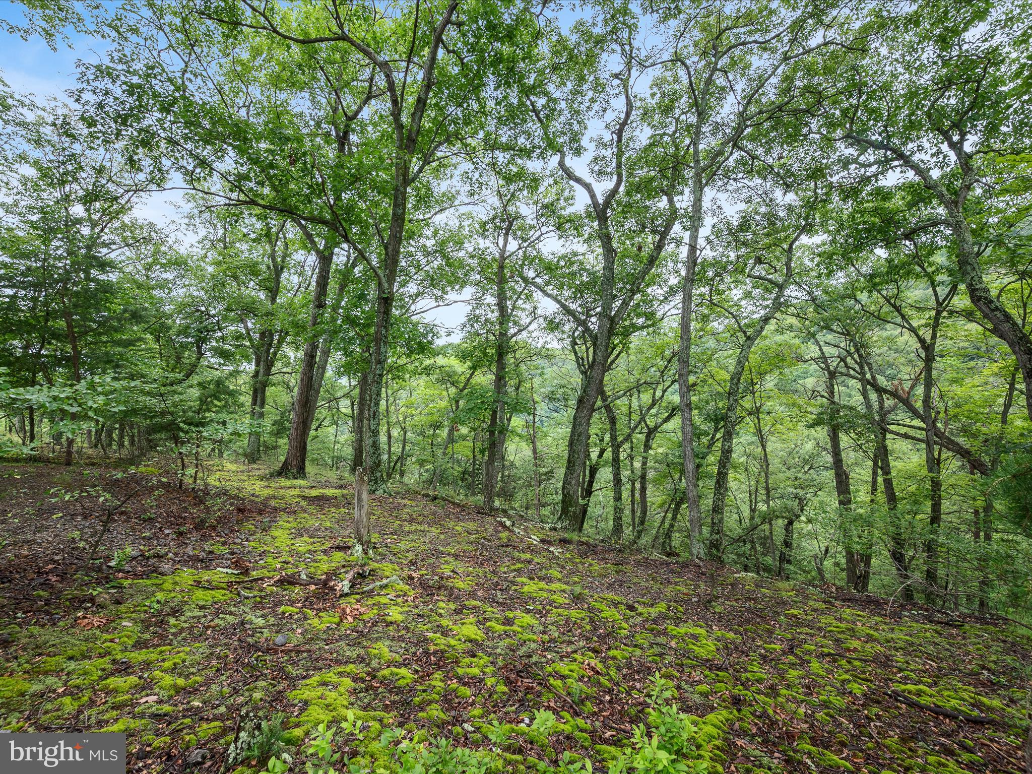 HIGHLAND SPRINGS - Residential