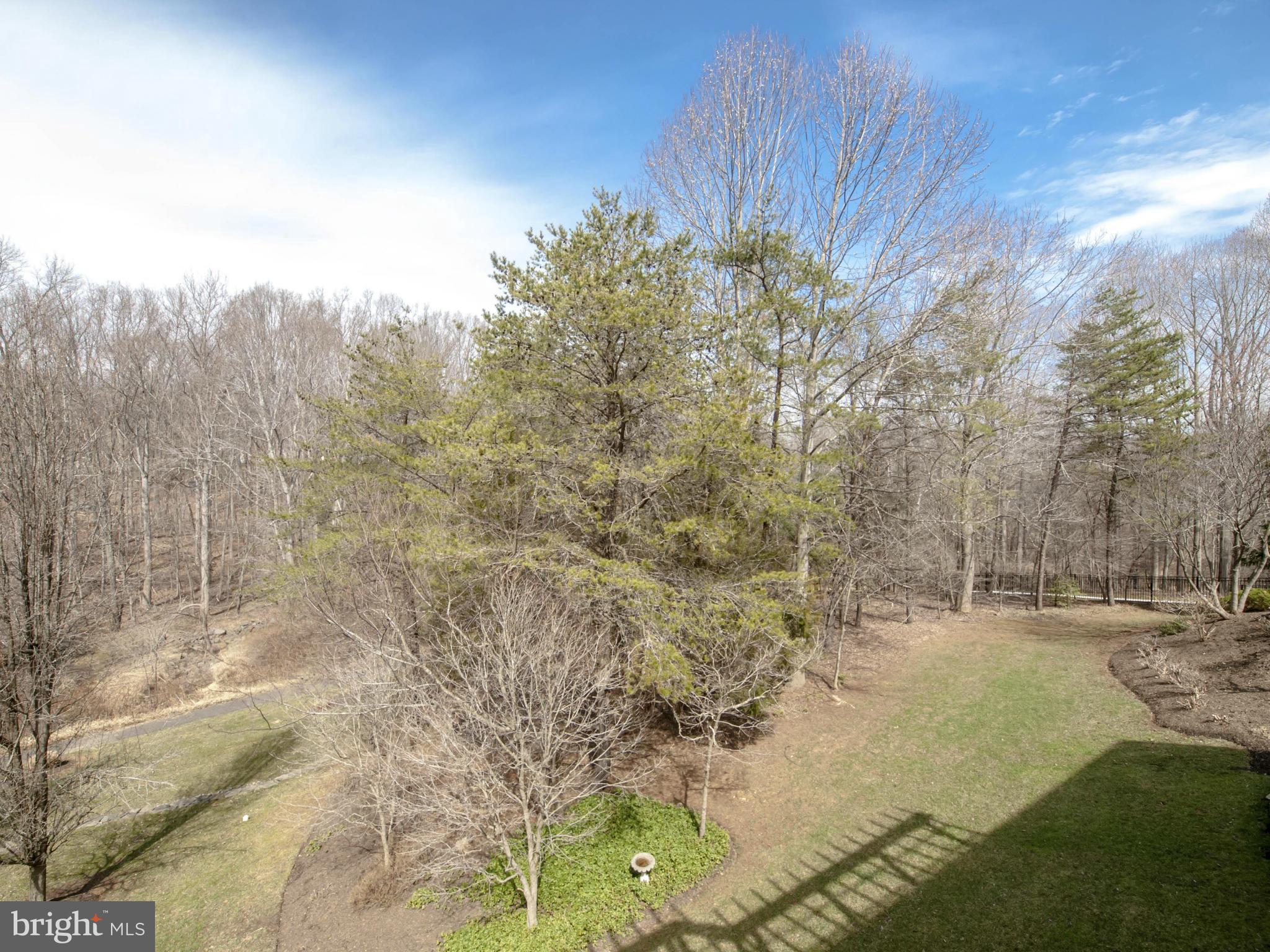 COLVIN MILL RUN - Residential