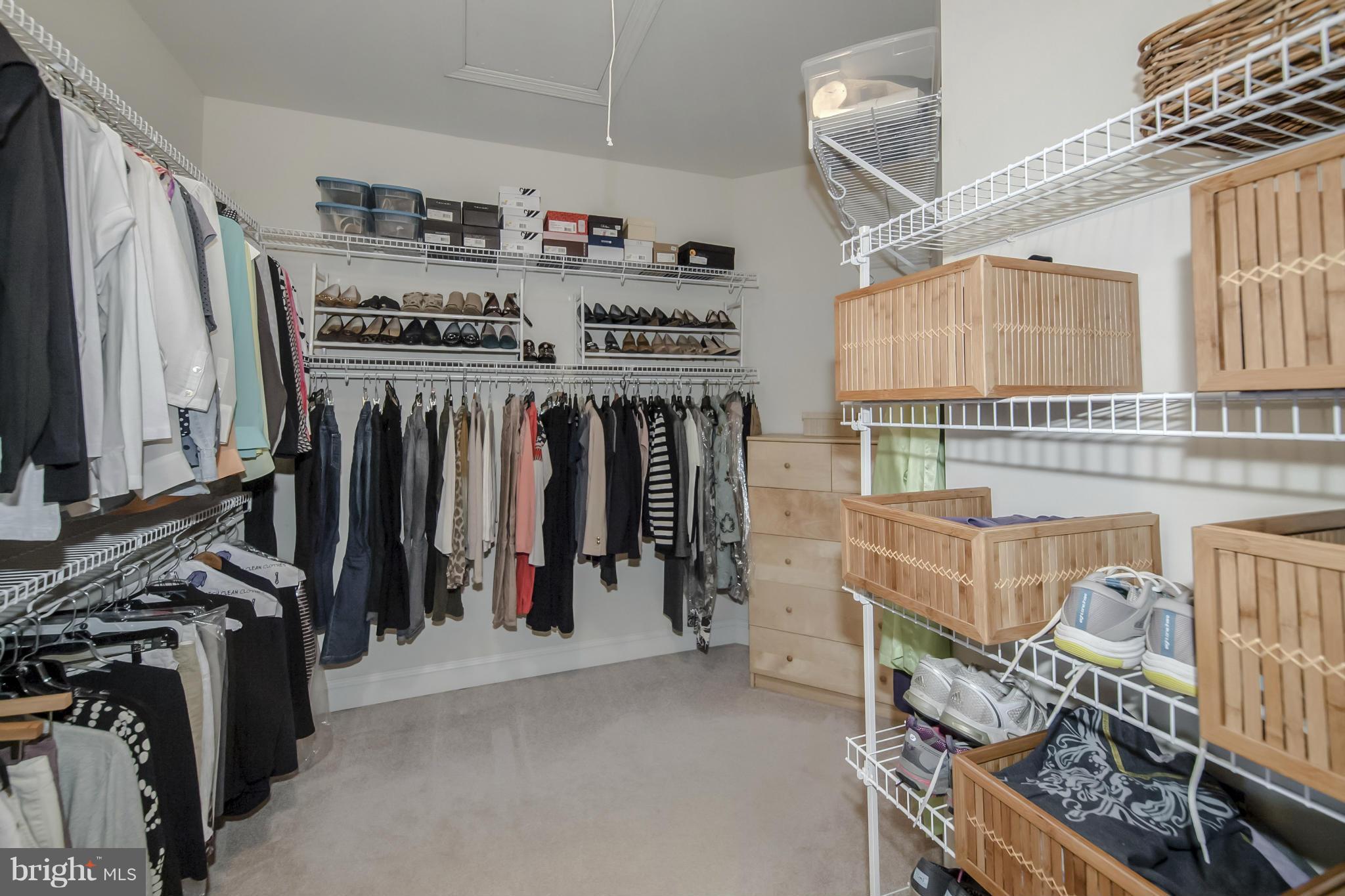 COLVIN MILL RUN - Residential