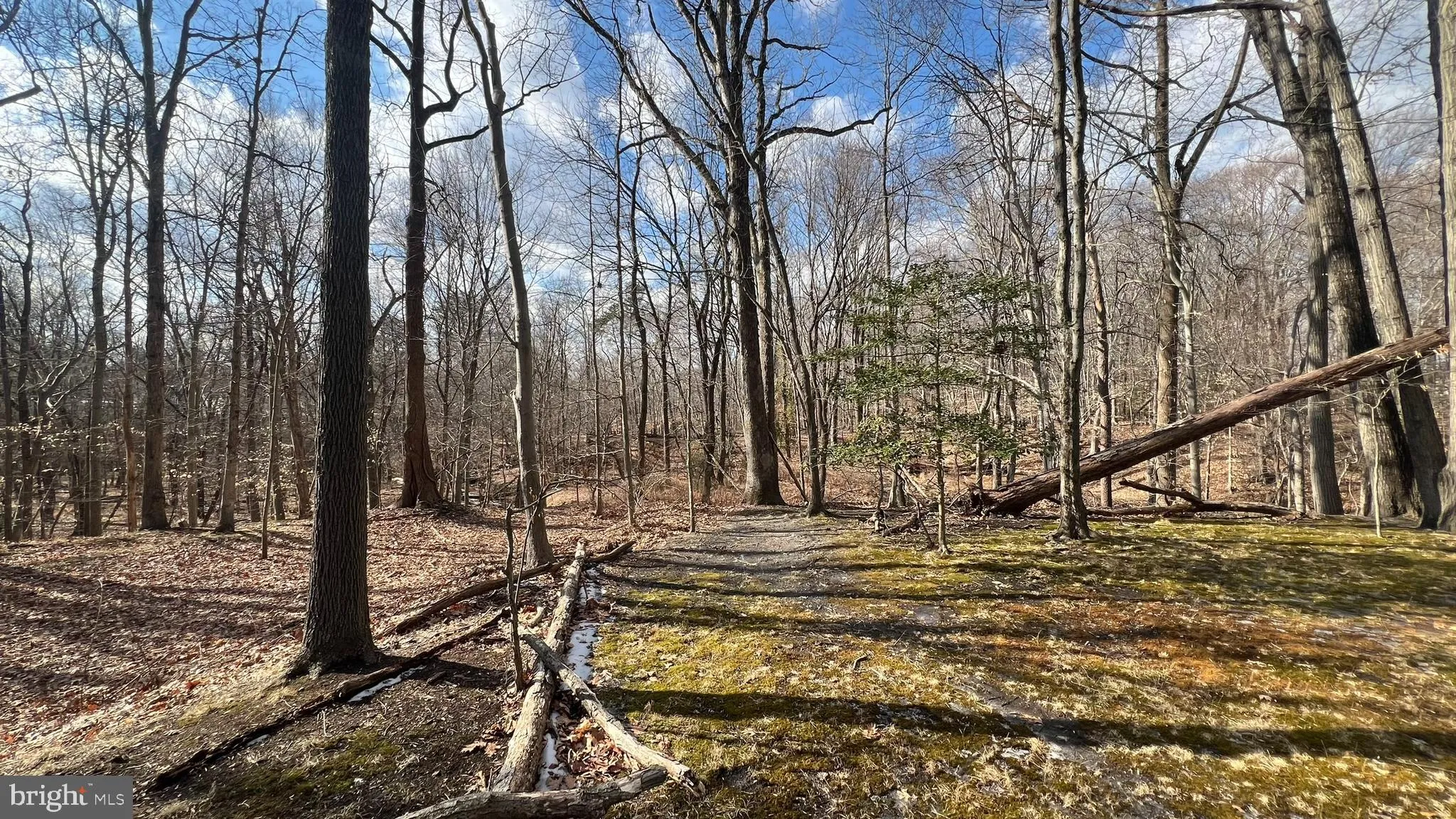 Stratford, New Jersey 08084, United States, 3 Bedrooms Bedrooms, ,2 BathroomsBathrooms,Residential,Pending,19721