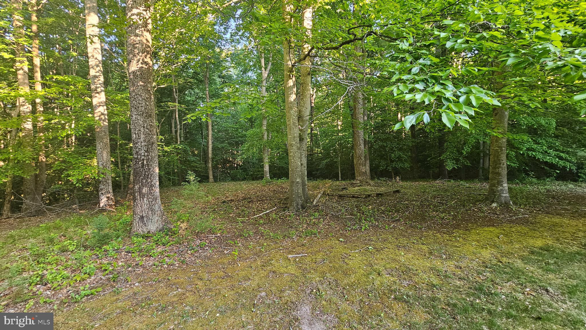 WHISPERING WOODS - Residential