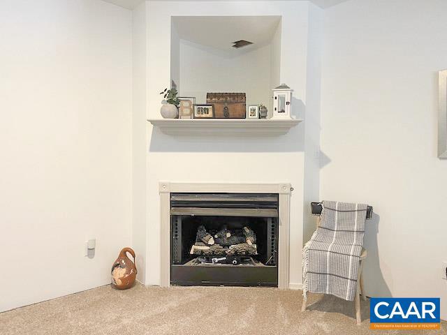 LAKE MONTICELLO - Residential