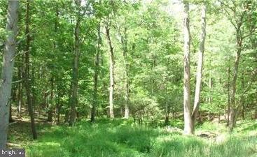 TWIN LAKES EAST - Land