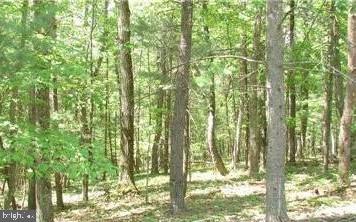 TWIN LAKES EAST - Land