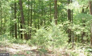 TWIN LAKES EAST - Land