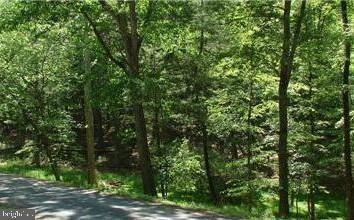 TWIN LAKES EAST - Land