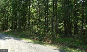 TWIN LAKES EAST - Land