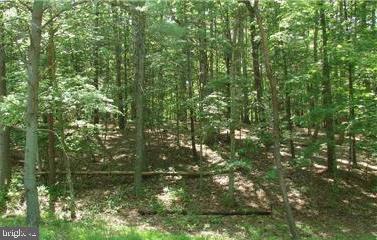 TWIN LAKES EAST - Land