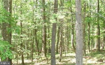 TWIN LAKES EAST - Land