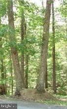 TWIN LAKES EAST - Land