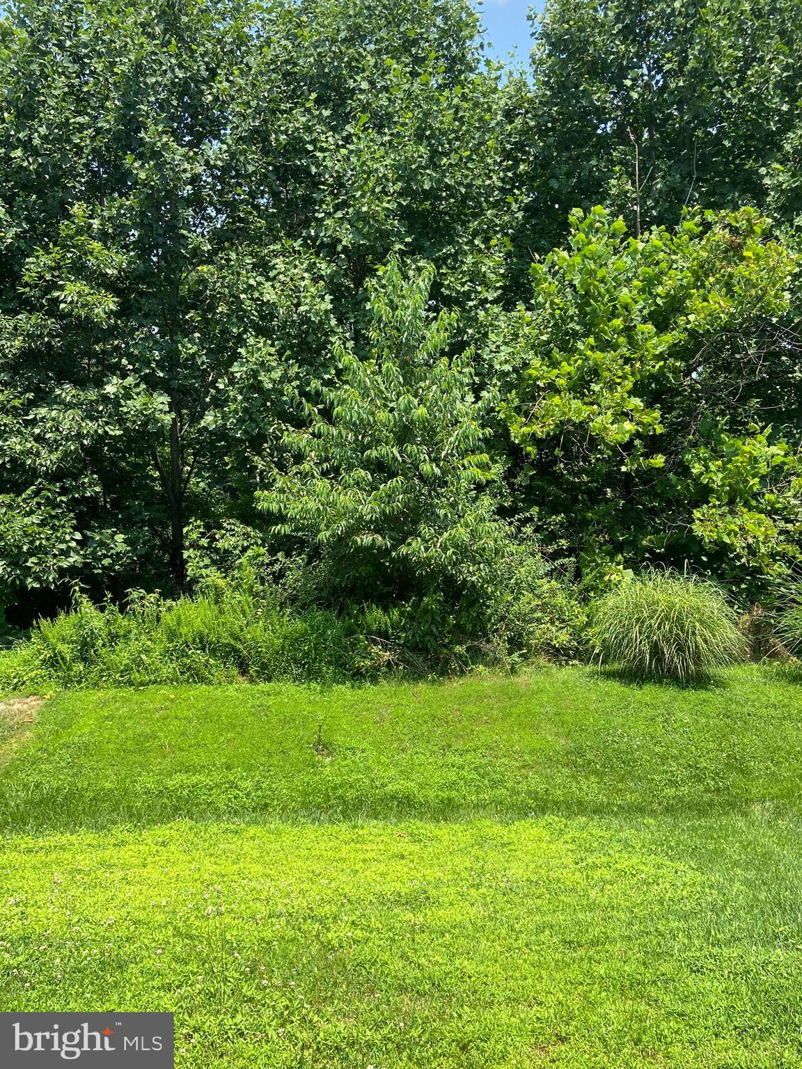 TWIN ARCH CROSSING - Residential