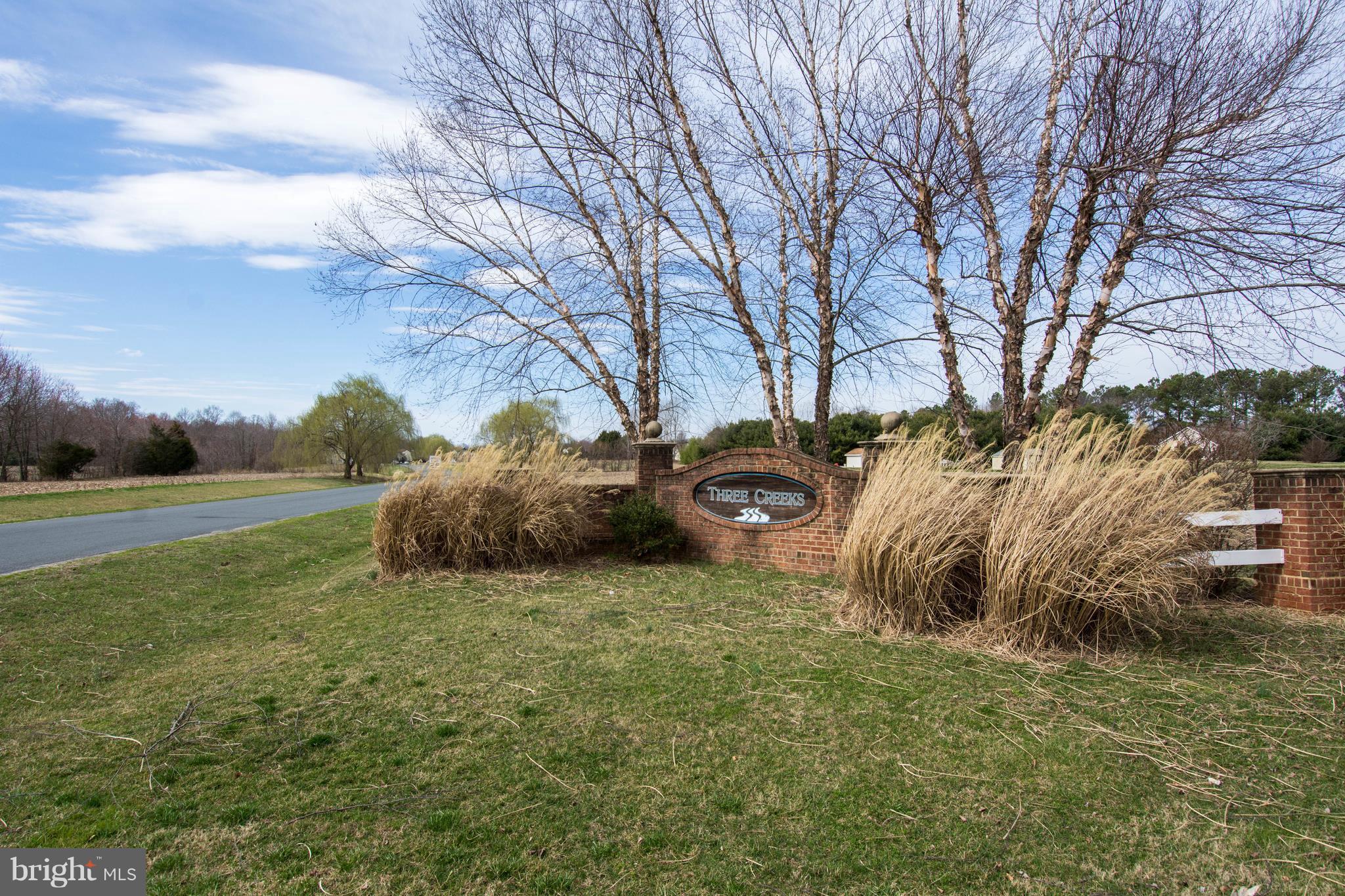 THREE CREEKS - Residential