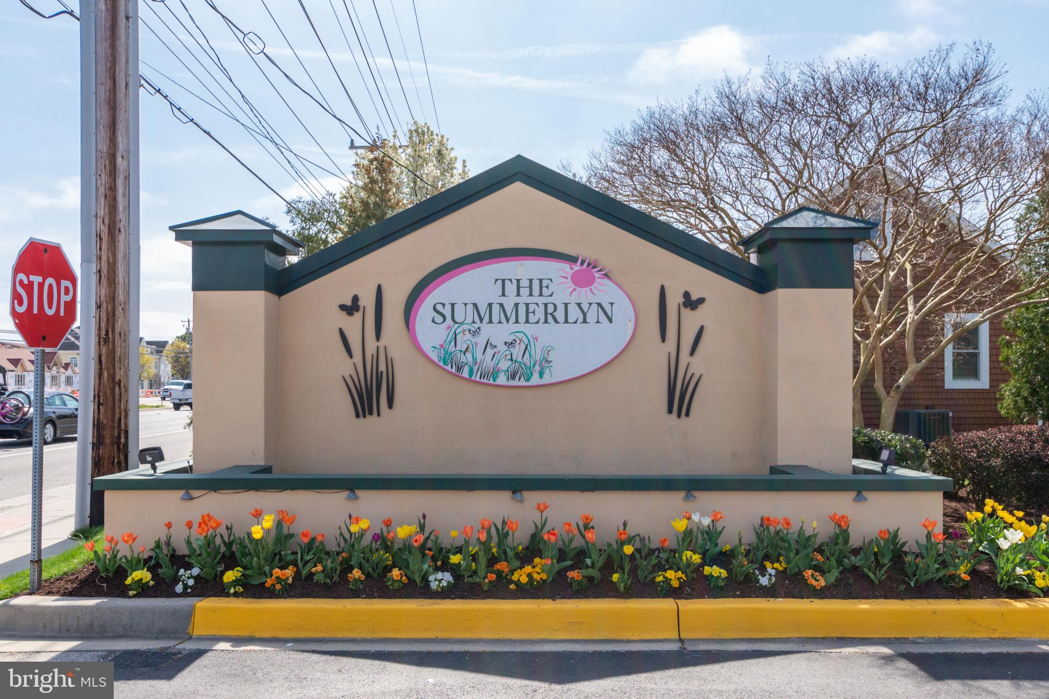 34297 SUMMERLYN DRIVE 509