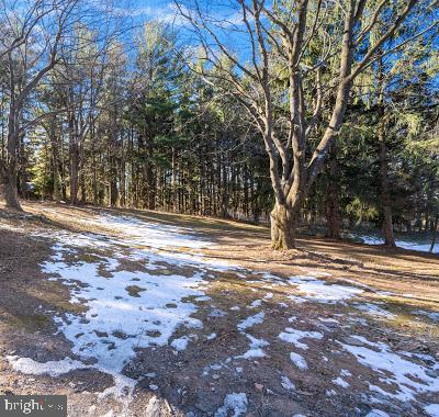 DAMASCUS OUTSIDE - Residential