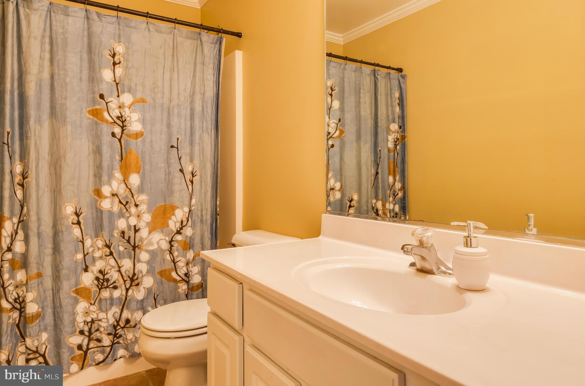 LAKE WILDERNESS - Residential