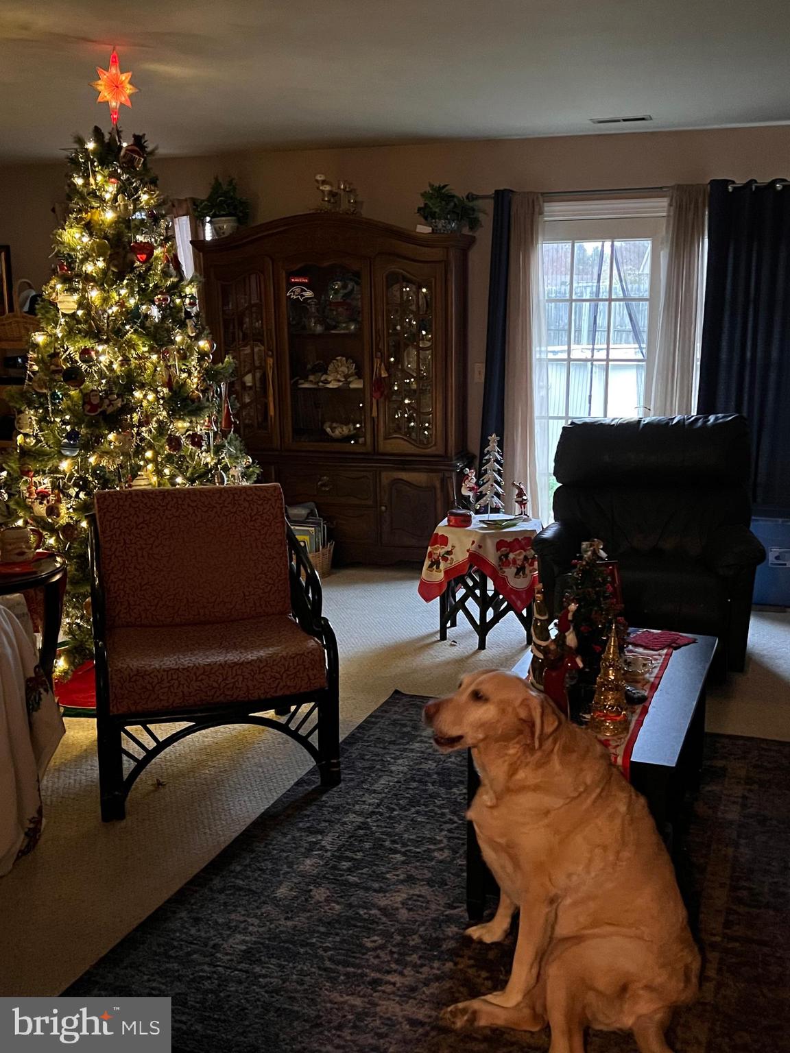 WOODS AT STONEY RIDGE - Residential