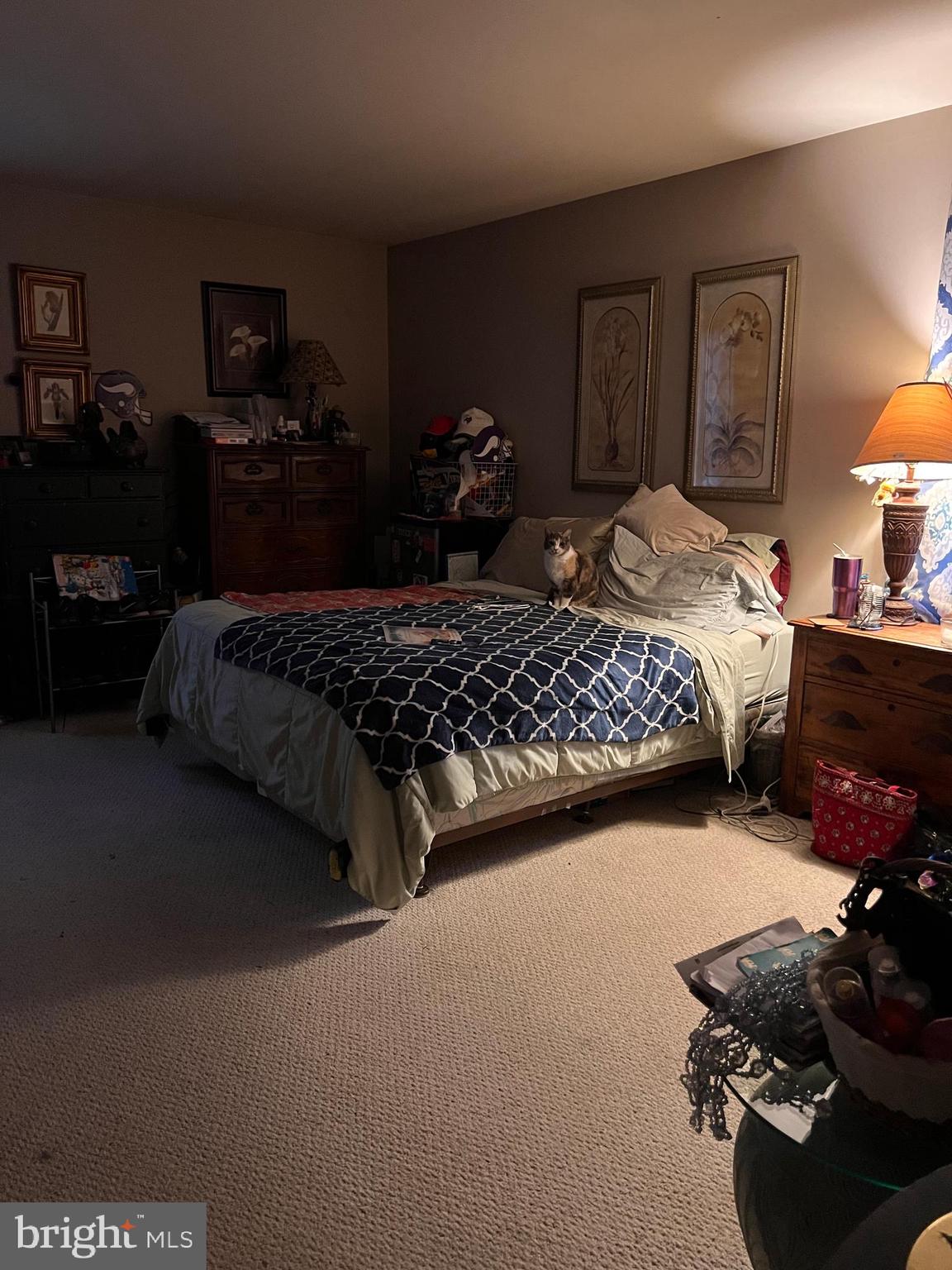 WOODS AT STONEY RIDGE - Residential