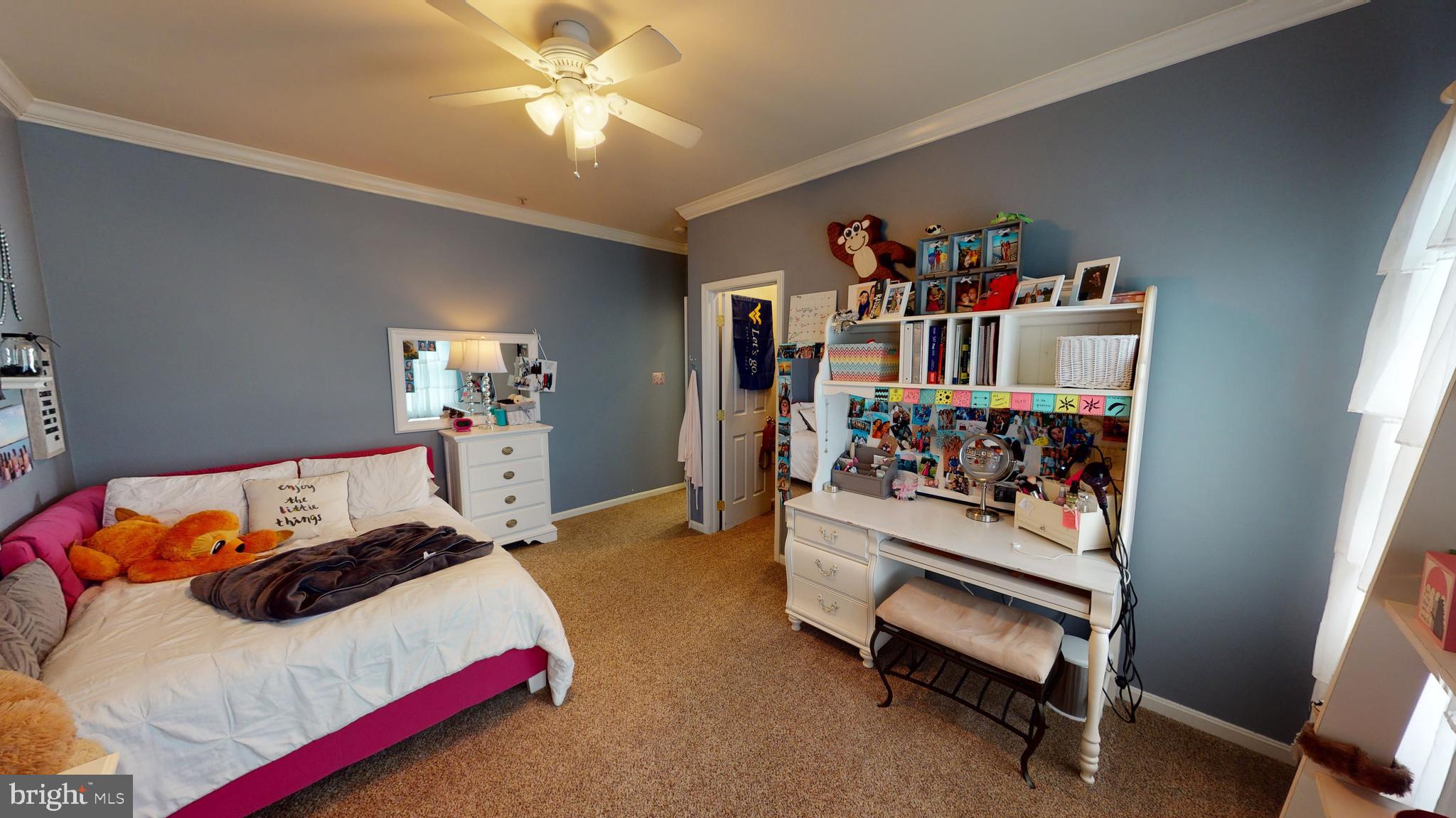 PRIMROSE PARK AT WILDEWOOD - Residential