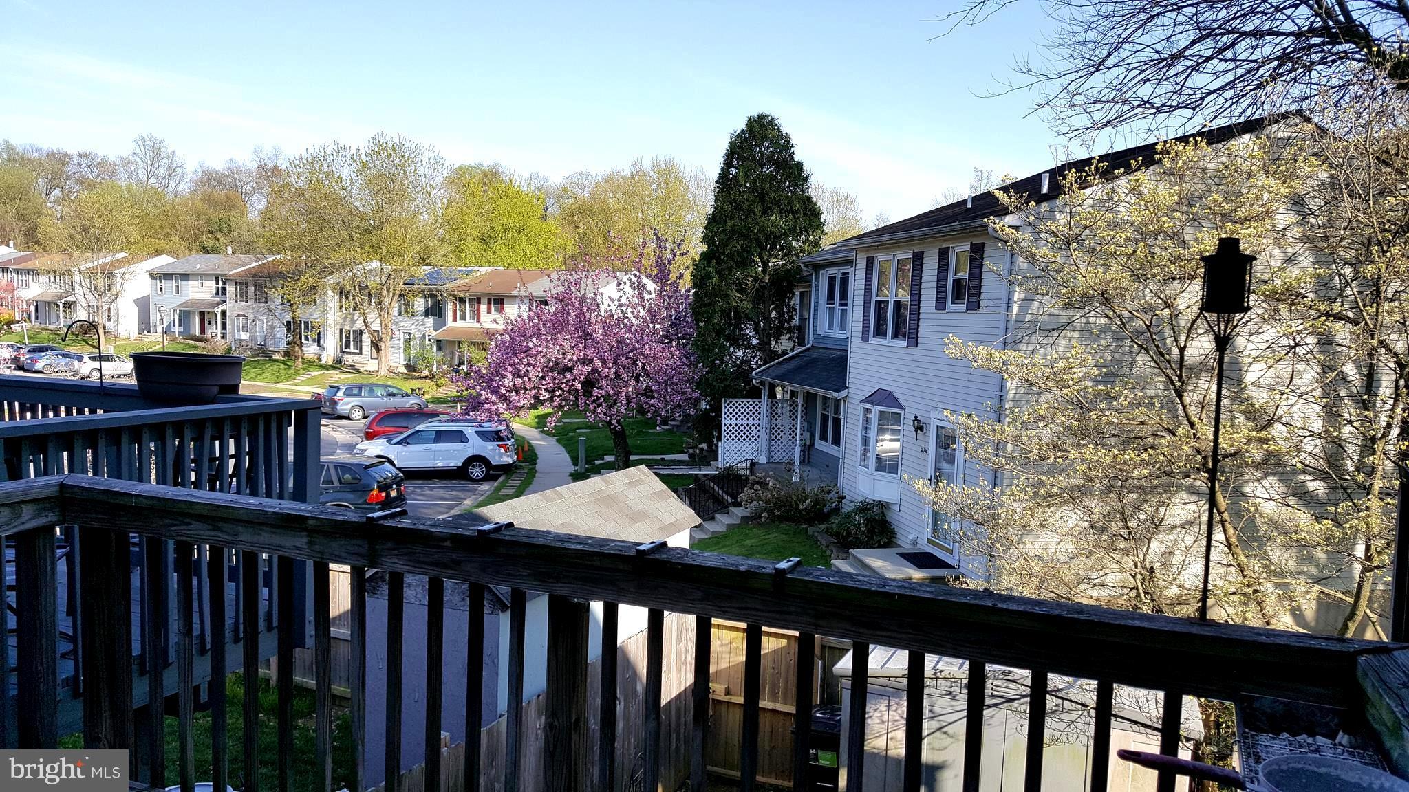 BONITA - Residential