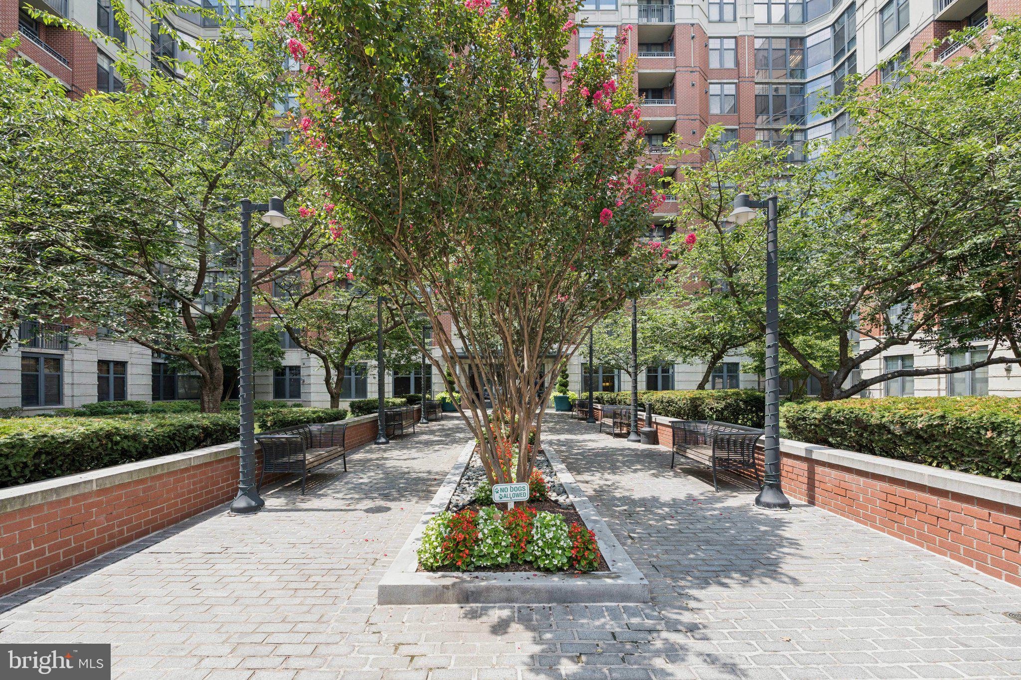 CLARENDON 1021 - Residential