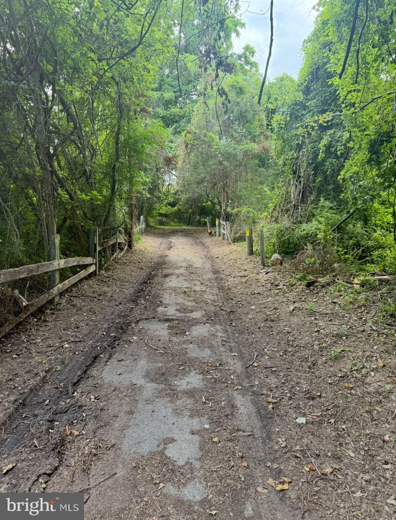 DIMES ROAD
