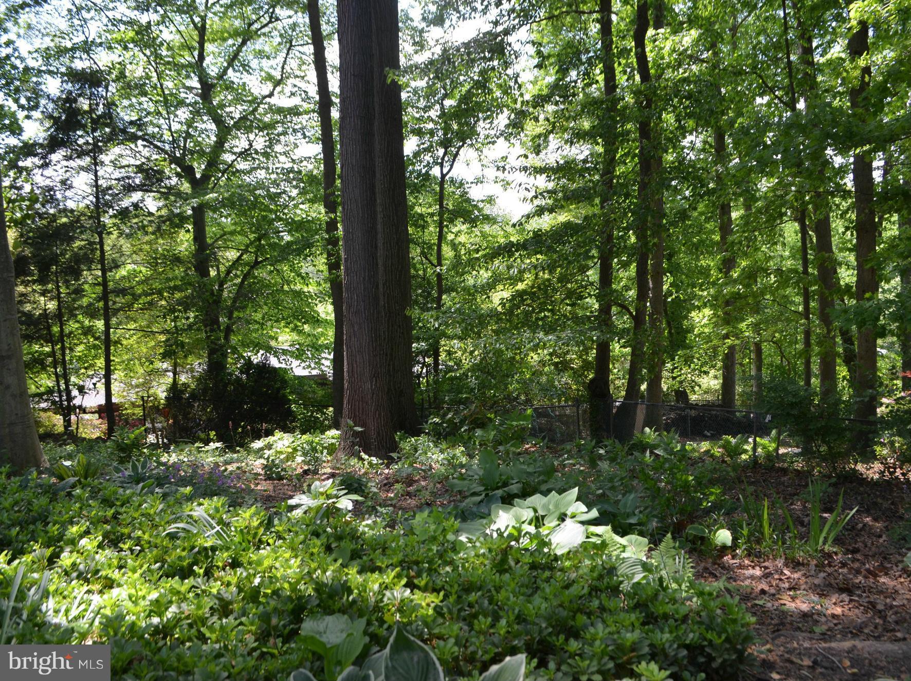 RIDGEWOOD VILLAGE - Residential