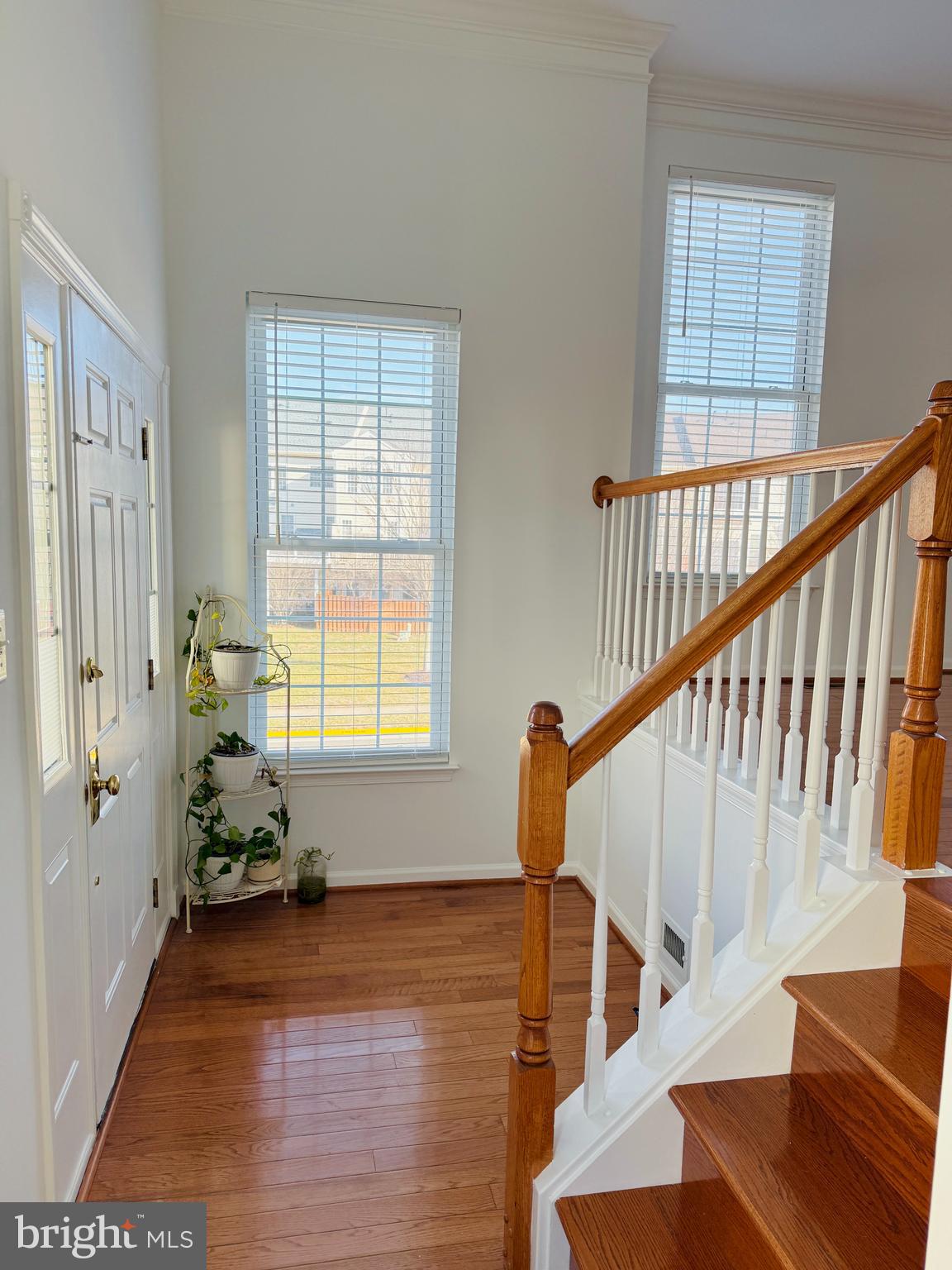 25207 BALD EAGLE TERRACE