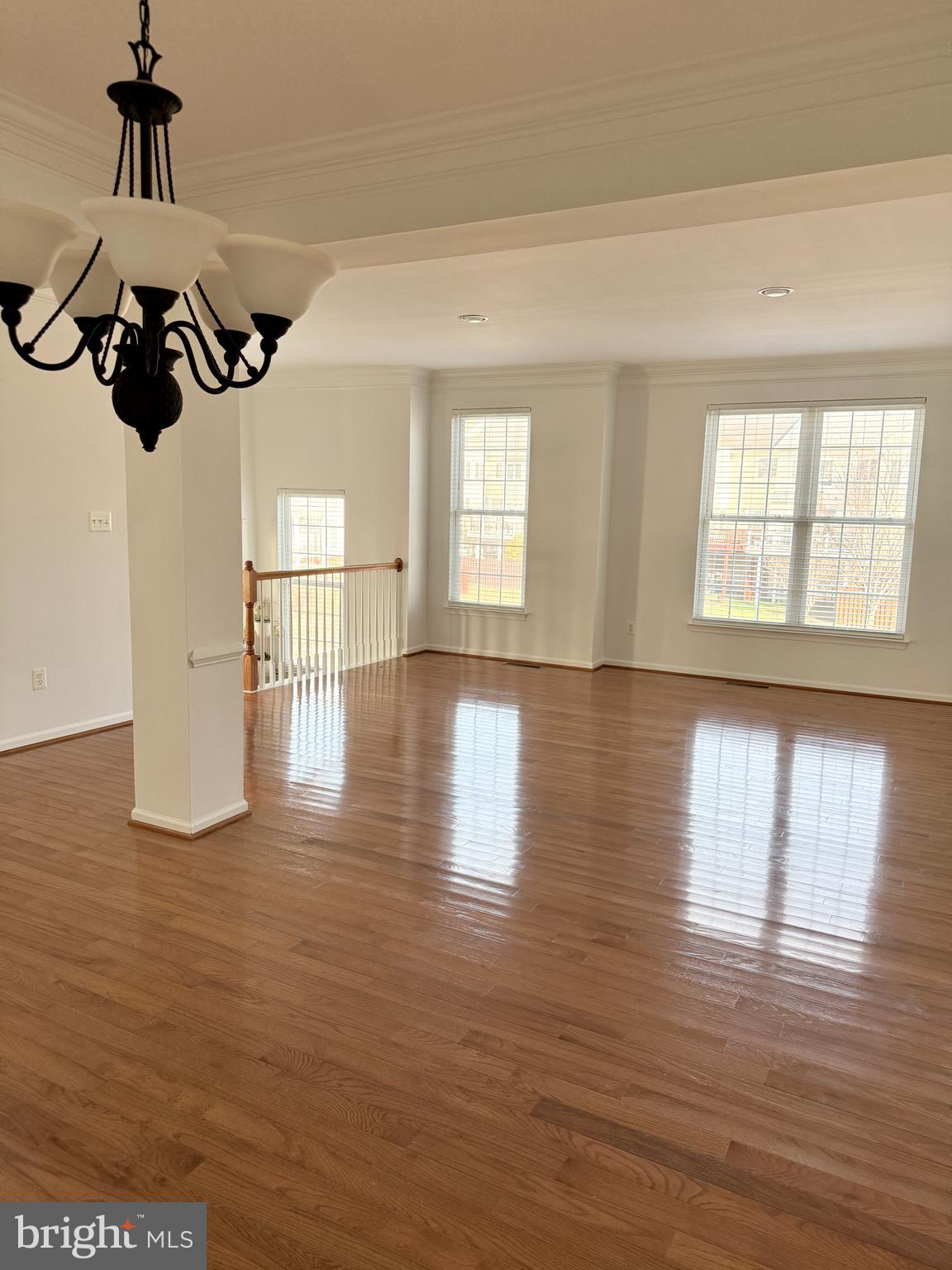 25207 BALD EAGLE TERRACE