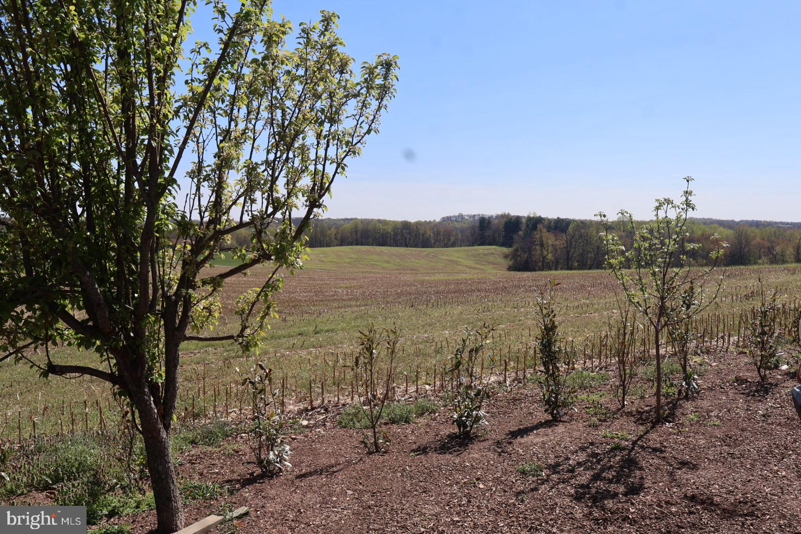 DAMASCUS OUTSIDE - Residential