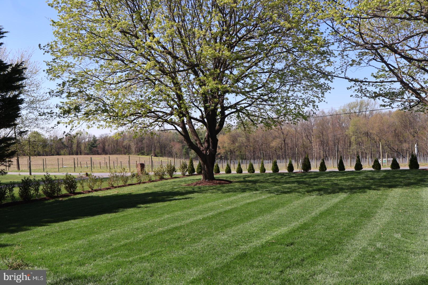 DAMASCUS OUTSIDE - Residential