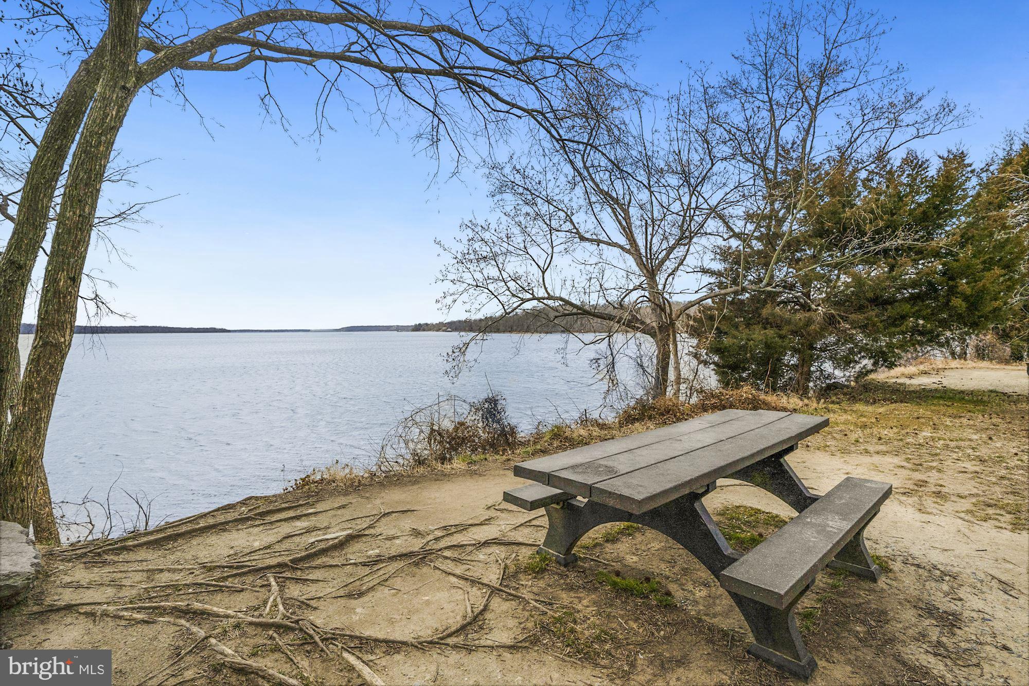 CLUSTERS AT WOODLAWN - Residential